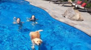 Mirage Pools