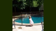 A Affordable Pool Guard