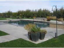 Beautiful Pool With Concrete Decking
